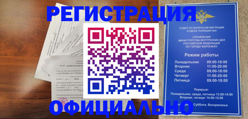 прописка поиск в Михайловке